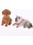 6pcs Minyatür Pet Puppy Figürleri Reçine Craft- 1/12 Dollhouse(Yurt Dışından) 5