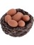 10PCS 1:12 Dollhouse Bahçe Bird Nest Peyzaj Sahnesi Dollhouse Aksesuarları Mini 2