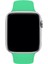 Apple Watch 2 3 4 5 6 7 Se Uyumlu 38-40 mm A+ Kaliteli Silikon Kordon Zümrüt Yeşili 3