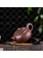 Çaydanlık Mor Kil Pot El Oyma Ejderha Kolu Çay Potu Zisha Su Isıtıcısı Teaset Çay Töreni Çay Aksesuarları Kung Fu Çay Seti | Çaydanlıklar (Yurt Dışından) 2