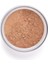 Perfect Finish Loose Powder 2