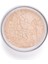 Perfect Finish Loose Powder 2