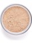 Perfect Finish Loose Powder 2
