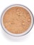 Perfect Finish Loose Powder 2