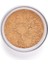 Perfect Finish Loose Powder 2