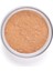 Perfect Finish Loose Powder 2