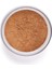 Perfect Finish Loose Powder 2