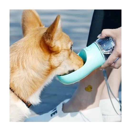 CitiKitty Taşınabilir Kedi Köpek Suluğu Seyahat Su Şişesi Kaseli Emniyetli Sızdırmaz Kutulu 350ML