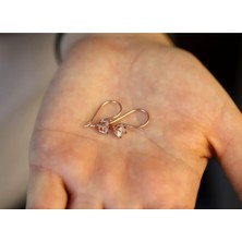 Doğan Silver Kadın Pırlanta Modeli Çengelli Tek Taş Rose Gümüş Küpe DGN20391