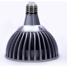 Mgn Lighting 12W E27 LED Ampul