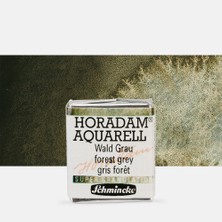 Schmincke : Horadam Aquarell Supergranulation Sulu Boya : Forest Grey : Yarım Tablet