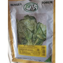 Burgen Tohum Pazı Tohumu