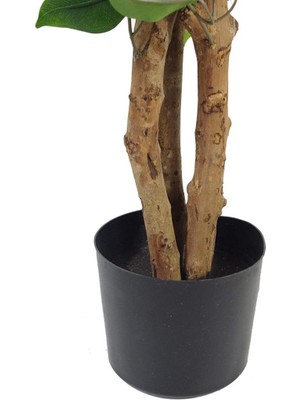 Nettenevime Yapay Ağaç Benjamin 3 Gövdeli Çalılı 100X60CM Siyah Plastik Saksılı