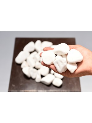 Bitki Kapında Beyaz Dolomit Taşı 2-4 Cm, Peyzaj Taşı, Dekoratif Akvaryum Taşı, Süs Taşı, Saksı Taşı, Beyaz Taş, Bahçe Taşı