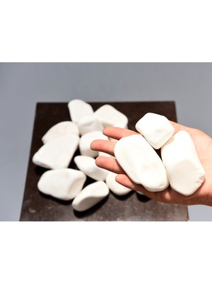 Bitki Kapında Beyaz Dolomit Taşı 4-6 Cm, Peyzaj Taşı, Dekoratif Akvaryum Taşı, Süs Taşı, Saksı Taşı, Beyaz Taş, Bahçe Taşı