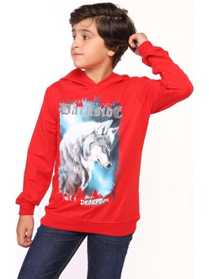 Toontoy Erkek Çocuk Baskılı Sweatshirt