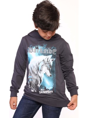 Toontoy Erkek Çocuk Baskılı Sweatshirt