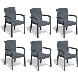 Çavdar Group Violet Trend Lüx Rattan Desen Bahçe Koltuğu Balkon Bahçe Teras Sandalye 6 Adet