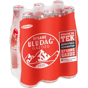 Efsane Gazoz 6X250 ml