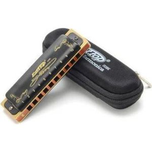 East Top 10 Holes 20 Tones 008K Diatonic Blues Ağız Mızıkası