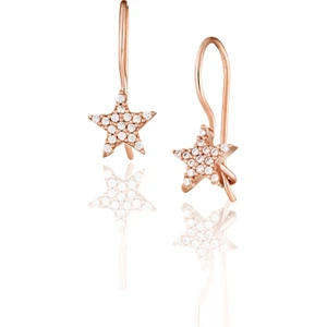 Doğan Silver Gümüş Rose Zirkon Taşlı Yıldız Model Küpe DGN21149