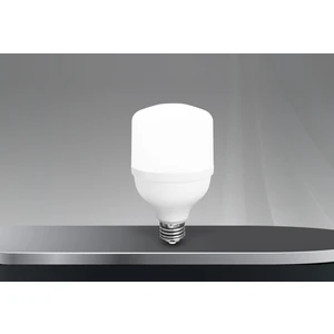 20w Torch Ampul