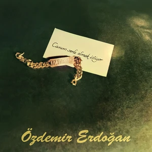 Pal Özdemir Erdoğan / Canım Senle Olmak Istiyor (Analog 180GR)(PLAK)