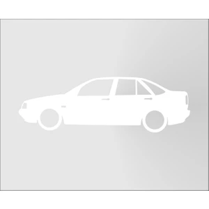 Oto Sticker Fiat Tempra Basık Kelebek Araba Silüet Stickeri 2 Adet
