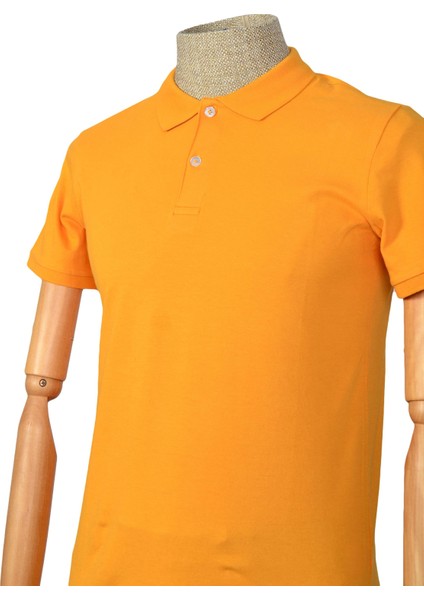 Polo Yaka Düz Slim Erkek T-shirt