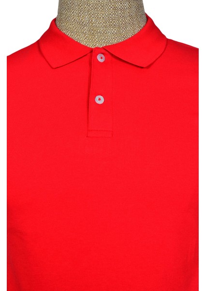 Polo Yaka Düz Slim Erkek T-shirt fiyatları