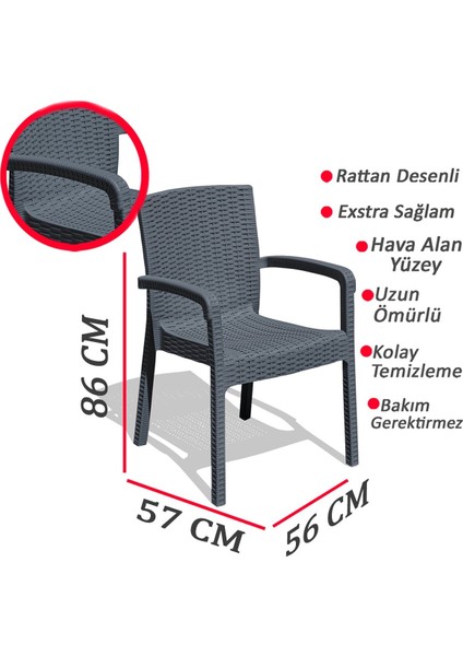 Çavdar Group Violet Trend Lüx Rattan Desen Bahçe Koltuğu Balkon Bahçe Teras Sandalye 6 Adet