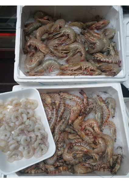 Jumbo Karides 8/12 (500 Gr)