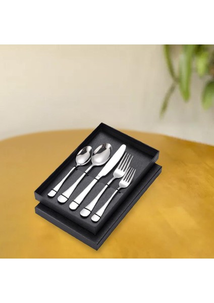 5x Paslanmaz Sofra Takımı Piknik Çatal Teşheri Yemek Takımları Gümüş(Yurt Dışından) fırsatları