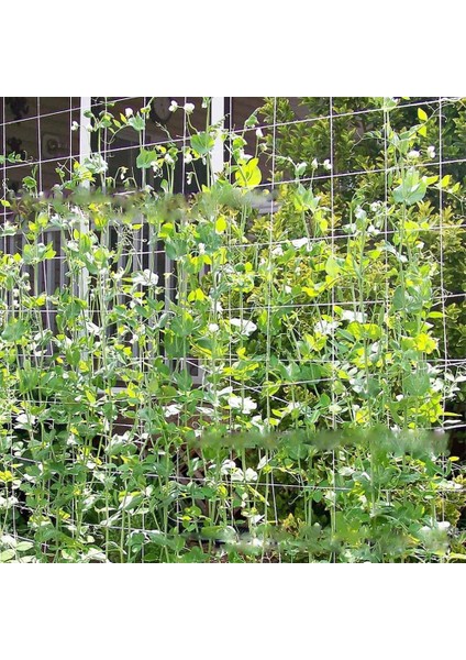 3'lü Domates // Vines Fabrikası Için Ağır Giriş Bahçe Kafes Ağı (Yurt Dışından) fırsatları