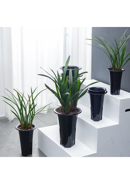3 Adet Plastik Uzun Bitki Tencere Masa Saksıları Orkide Için Drenaj (Yurt Dışından) indirimleri
