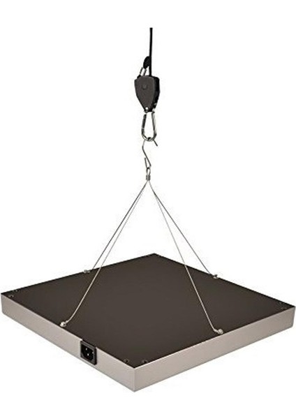 8'lü Siyah 150LBS 2m Cırcır Halat Bahçe Malzemeleri Hidroponik/grow Çadırı Için (Yurt Dışından) fırsatları