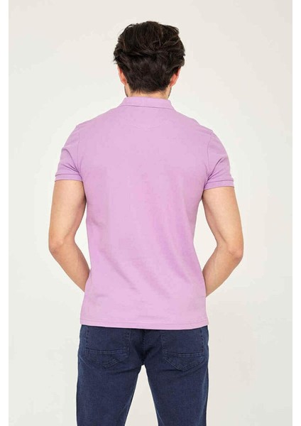 Caz 4613 Polo T-Shırt Lila fırsatları