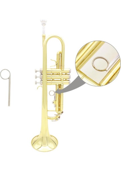 Trompet Halkası 3'lü (Yurt Dışından) fiyatları