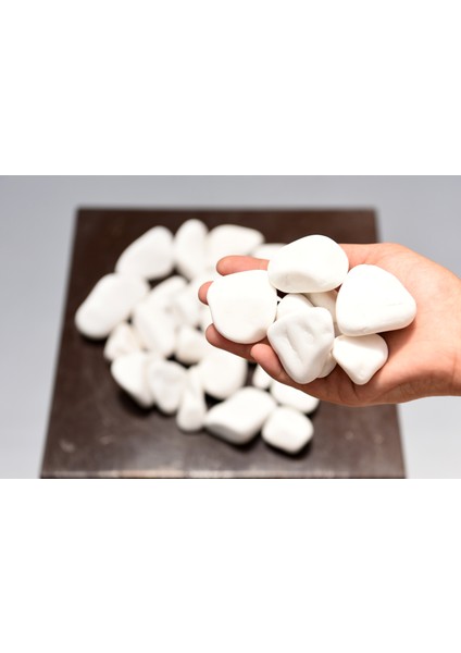 Beyaz Dolomit Taşı 2-4 Cm, Peyzaj Taşı, Dekoratif Akvaryum Taşı, Süs Taşı, Saksı Taşı, Beyaz Taş, Bahçe Taşı