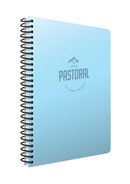 Pastoral A4 96 Yaprak Plastik Kapak Spiralli Kareli Defter 12 Adet fiyatları