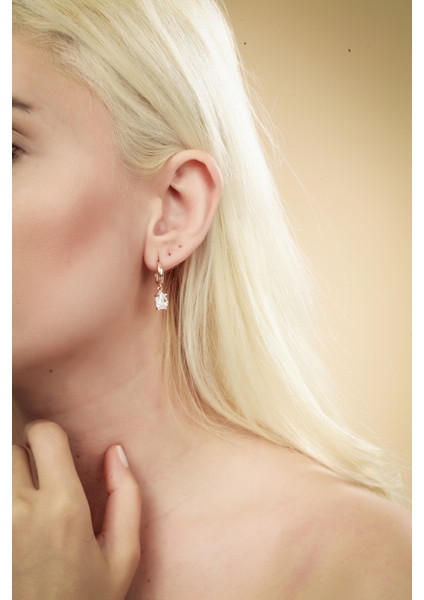 Gümüş Rose Zirkon Taşlı Damla Model Trend Halka Küpe DGN21185 fiyatları