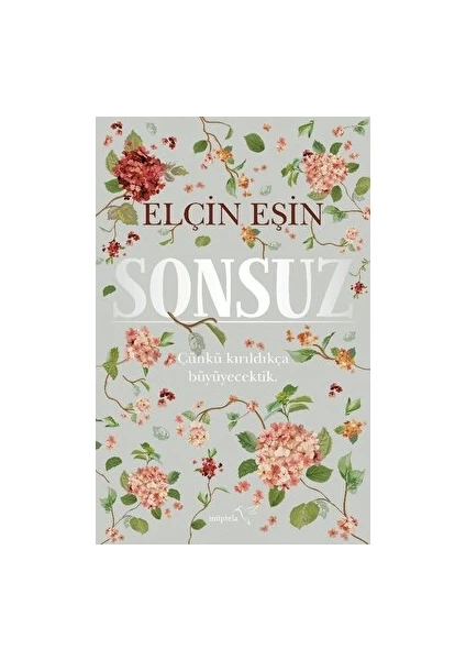 Sonsuz - Elçin Eşin