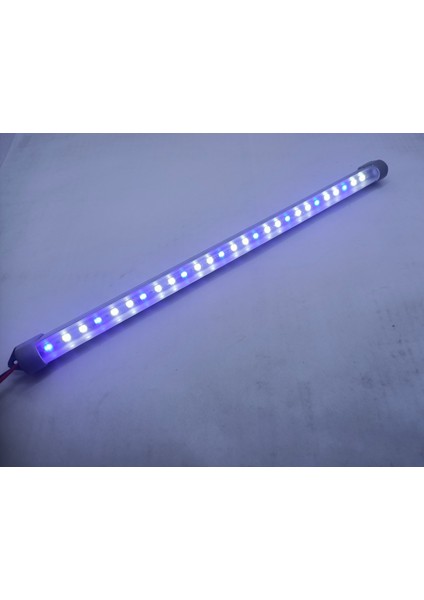 Orionled Mavi - Beyaz 40 cm - Bitkili, Bitkisiz Akvaryumlar Için
