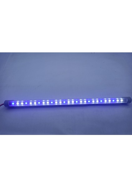 Orionled Mavi - Beyaz 40 cm - Bitkili, Bitkisiz Akvaryumlar Için
