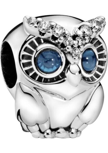 925 Ayar Gümüş Işıltılı Baykuş Charm