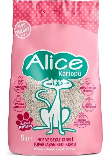 Kartopu Topaklaşan Ince Taneli Kedi Kumu 4x5 Lt.