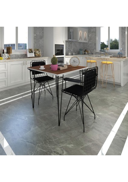Knsz Masa Sandalye Takımı HEM75MAZLUM Cvzsyh 060*060 Klçsm 2 Sandalye Syhsyh Kolçaklı Sırt Minderli