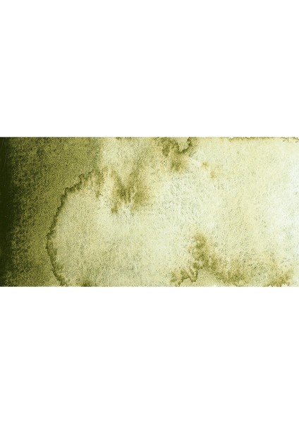 : Horadam Aquarell Supergranulation Sulu Boya : Forest Olive : 15 ml fiyatları