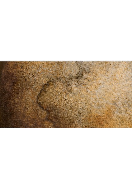 : Horadam Aquarell Supergranulation Sulu Boya : Desert Brown : 15 ml fiyatları