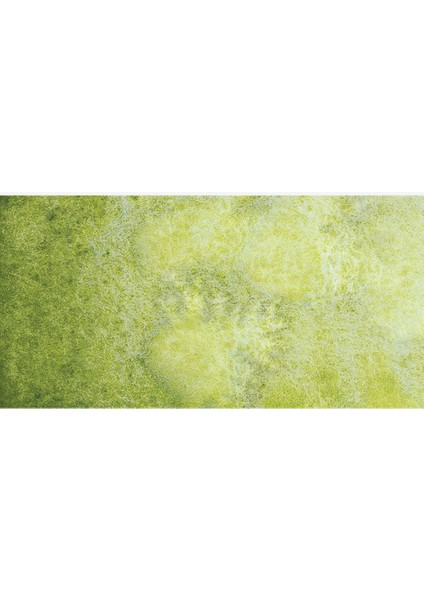 : Horadam Aquarell Supergranulation Sulu Boya : Shire Olive : 15 ml fiyatları